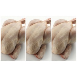 Poulet X 3, Surgelé Calibre 1,4KG